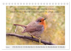 Spruch verliebt (Tischkalender 2024 DIN A5 quer), CALVENDO Monatskalender