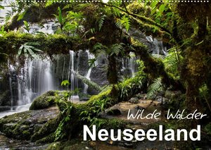 Neuseeland - Wilde Wälder (Wandkalender 2022 DIN A2 quer)