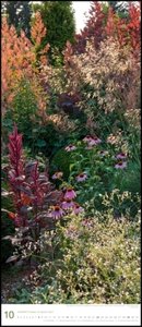 Gräser im Garten 2023 – DUMONT Wandkalender – Garten-Kalender – Hochformat 30 x 70 cm