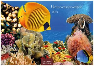 Unterwasserwelten 2023 L 35x50cm