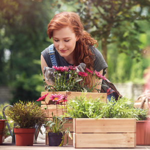 Gute Laune Garten 2022