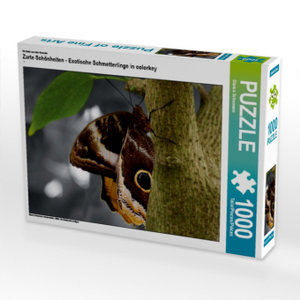 CALVENDO Puzzle Ein Motiv aus dem Kalender Zarte Schönheiten - Exotische Schmetterlinge in colorkey 1000 Teile Puzzle quer