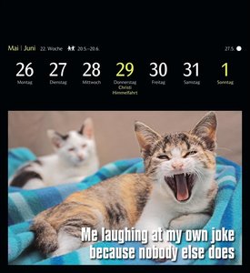 Animal Memes Postkartenkalender 2025 - 53 tierisch witzige Postkarten