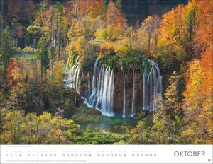 Schönheit des Waldes Posterkalender 2026