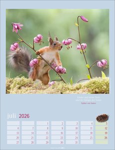Eichhörnchen Kalender 2026