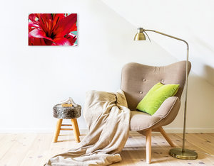 Premium Textil-Leinwand 45 cm x 30 cm quer Ein Motiv aus dem Kalender Zauberblüte - Asiatische Lilie