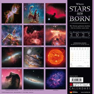 Where Stars are Born 2025
