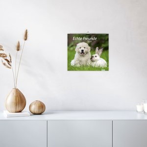 times&more Echte Freunde Bildkalender 2026