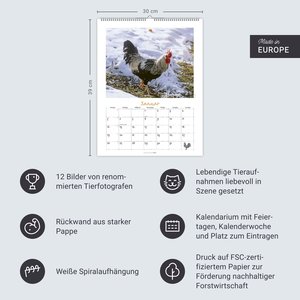 Der Hühnerkalender 2026