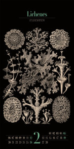 Kunst-Formen der Natur - Ernst Haeckel Kalender 2023