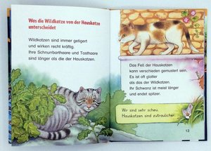 Sachwissen für Erstleser: Die Wildkatze