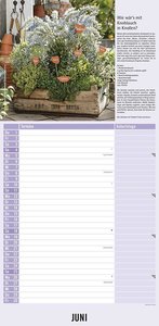 Kräuter & Gewürze 2023 - Streifenkalender 22x45 cm - mit Extraspalte für Geburtstage - Küchentipps und Mondphasen - Wandkalender - Terminplaner