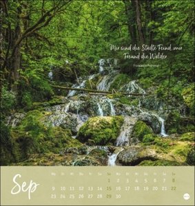Unser Wald Postkartenkalender 2024. Beeindruckende Detailfotos in einem Monats-Tischkalender zum Aufstellen und Aufhängen. Kleiner Kalender mit hochwertigen Aufnahmen.