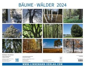 Bäume-Wälder 2024