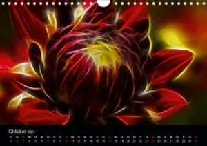 Floral Abstrakt 2021 (Wandkalender 2021 DIN A4 quer)
