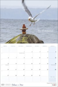 Balance & Meer Mini-Broschurkalender 2023: 12 Wackelkandidaten von Bernd Standhardt in einem praktischen Wandplaner mit Raum für Notizen. Foto-Kalender 2023.