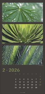 Die Farben der Natur Kalender 2026