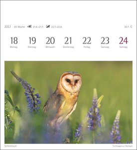 Heimische Vögel Kalender 2022