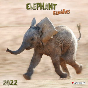 Elephant Families 2022