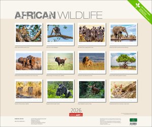 African Wildlife Kalender 2026