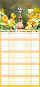 Bunte Vogelwelt Familienplaner 2026