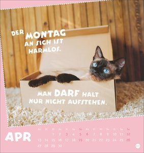 Mach mal Pause Postkartenkalender 2026