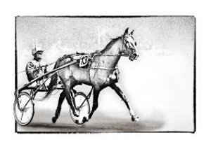 Autour du cheval (Livre poster DIN A3 horizontal)