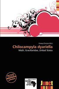 Chilocampyla dyariella