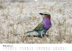 Colourful Birds of Africa (Wall Calendar 2015 DIN A3 Landscape)