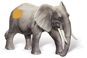 Ravensburger 00356 - Tiptoi Spielfigur: Afrikanischer Elefantenb