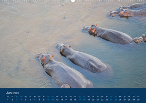 Nilpferde, Kolosse in Afrika (Premium, hochwertiger DIN A2 Wandkalender 2023, Kunstdruck in Hochglanz)
