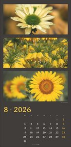 Die Farben der Natur Kalender 2026