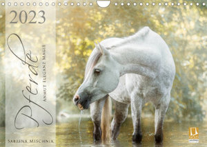 Pferde - Anmut, Eleganz, Magie (Wandkalender 2023 DIN A4 quer)