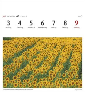 Provence Sehnsuchtskalender 2023. Kleiner Kalender zum Aufstellen, mit 53 Postkarten zum Sammeln und verschicken. Dekorativer Tischkalender 2023. Auch zum Aufhängen.