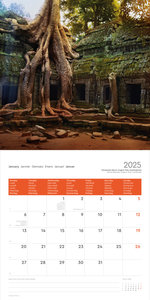 Alte Bäume - KUNTH Broschurkalender 2025