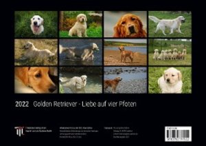 Golden Retriever - Liebe auf vier Pfoten 2022 - Black Edition - Timokrates Kalender, Wandkalender, Bildkalender - DIN A4 (ca. 30 x 21 cm)