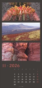 Die Farben der Natur Kalender 2026