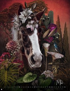 André Sanchez: Tierporträts Posterkalender 2026