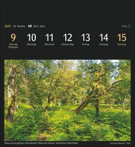 Deutschlands Natur Postkartenkalender 2025 - Kalender mit 53 Postkarten