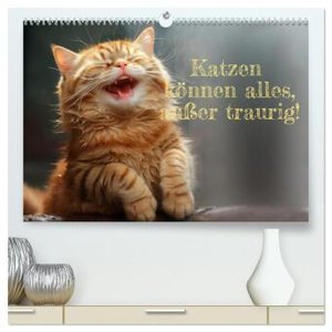 Katzen können alles, außer traurig. (hochwertiger Premium Wandkalender 2024 DIN A2 quer), Kunstdruck in Hochglanz