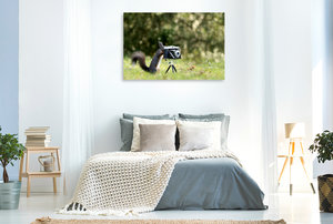 Premium Textil-Leinwand 120 cm x 80 cm quer Eichhörnchen entdeckt die Liebe zur Fotografie.