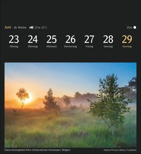 Magic Nature Postkartenkalender Kalender 2025 - Kalender mit 53 Postkarten