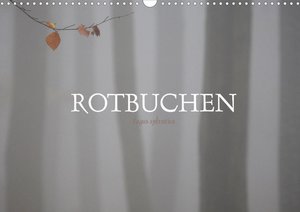 Rotbuchen (Wandkalender 2023 DIN A3 quer)