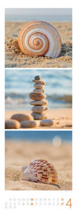NaturZeit Triplet-Kalender 2025
