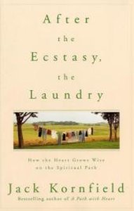 After the Ecstasy, the Laundry