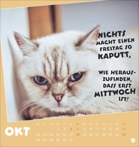 Mach mal Pause Postkartenkalender 2026