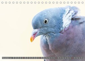 INNE BOTANIK - Vögel im Ruhrpott (Tischkalender 2023 DIN A5 quer)