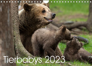 Tierbabys 2023 (Wandkalender 2023 DIN A4 quer)