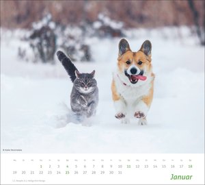 times&more Echte Freunde Bildkalender 2026