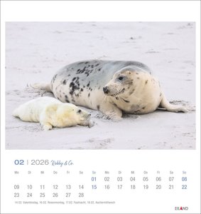 Robby & Co. Postkartenkalender 2026